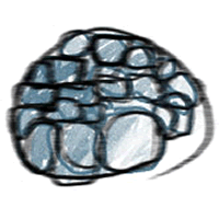 http://www.institutpaulofreire.org/
